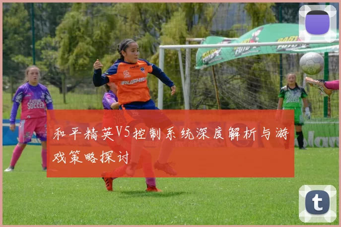 和平精英V5控制系统深度解析与游戏策略探讨