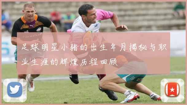 足球明星小猪的出生年月揭秘与职业生涯的辉煌历程回顾