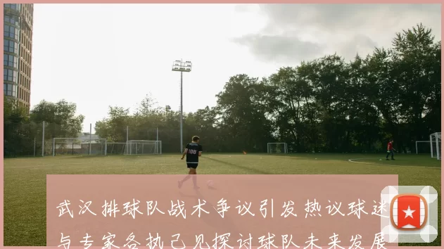 武汉排球队战术争议引发热议球迷与专家各执己见探讨球队未来发展方向