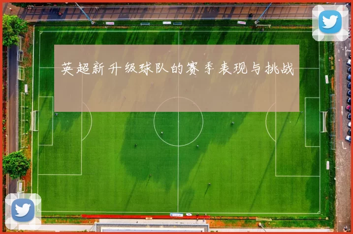 英超新升级球队的赛季表现与挑战