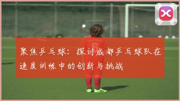 聚焦乒乓球：探讨成都乒乓球队在速度训练中的创新与挑战