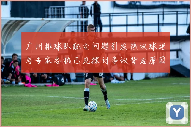 广州排球队配合问题引发热议球迷与专家各执己见探讨争议背后原因