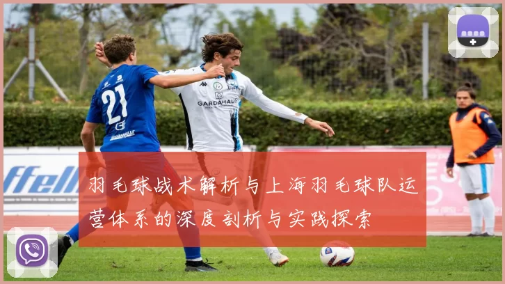 羽毛球战术解析与上海羽毛球队运营体系的深度剖析与实践探索
