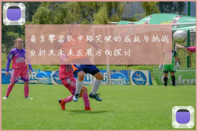 南京攀岩队中路突破的成就与挑战分析及未来发展方向探讨