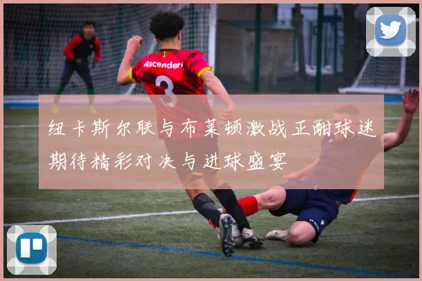 纽卡斯尔联与布莱顿激战正酣球迷期待精彩对决与进球盛宴