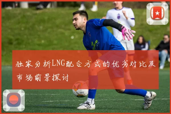 独家分析LNG配合方式的优劣对比及市场前景探讨