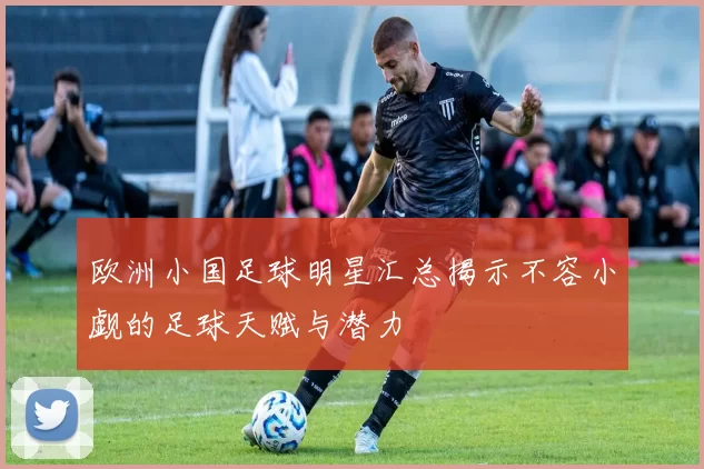 欧洲小国足球明星汇总揭示不容小觑的足球天赋与潜力