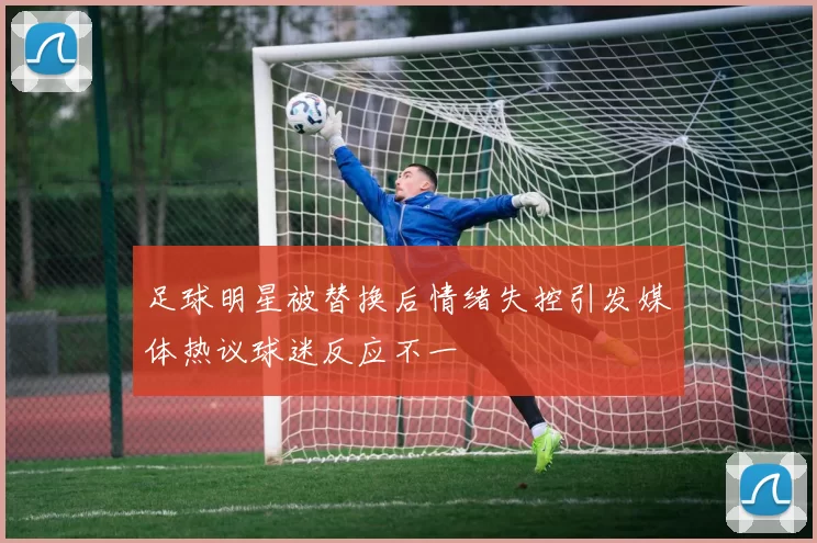 足球明星被替换后情绪失控引发媒体热议球迷反应不一