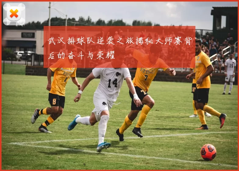 武汉排球队逆袭之旅揭秘大师赛背后的奋斗与荣耀